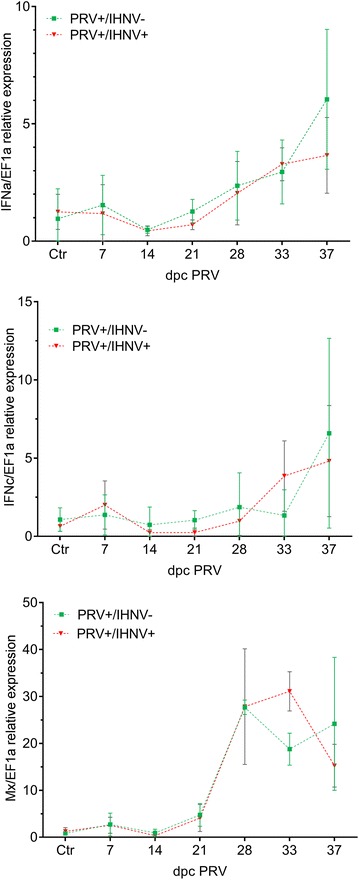 Figure 4