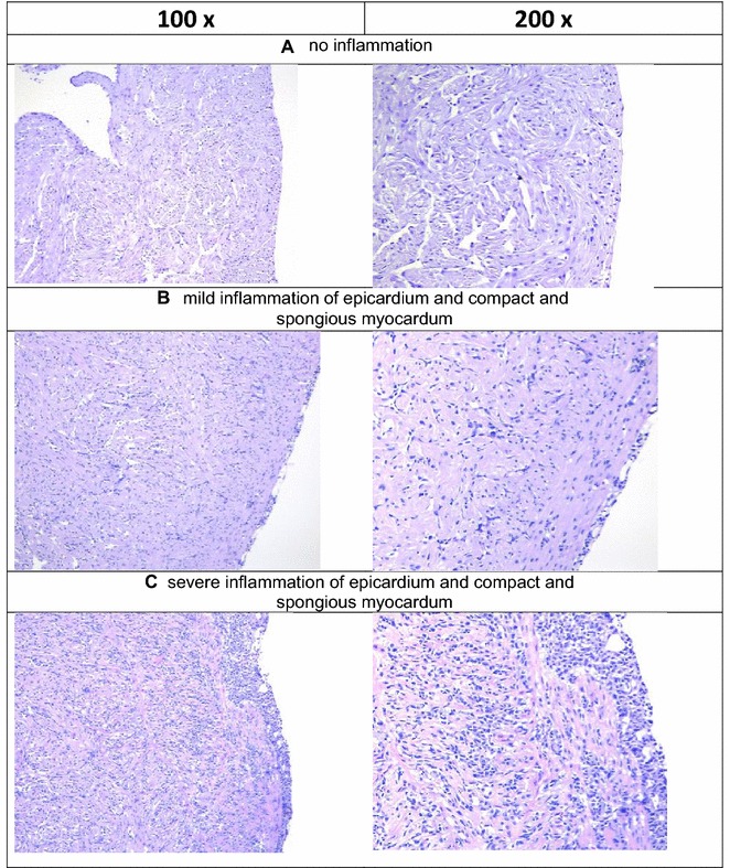 Figure 5