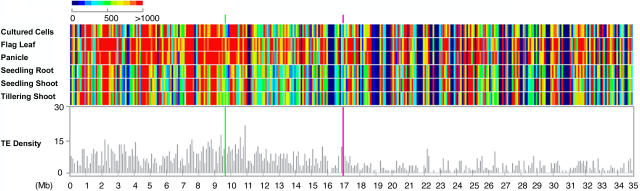 Figure 9.