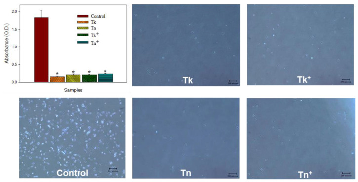 Figure 7