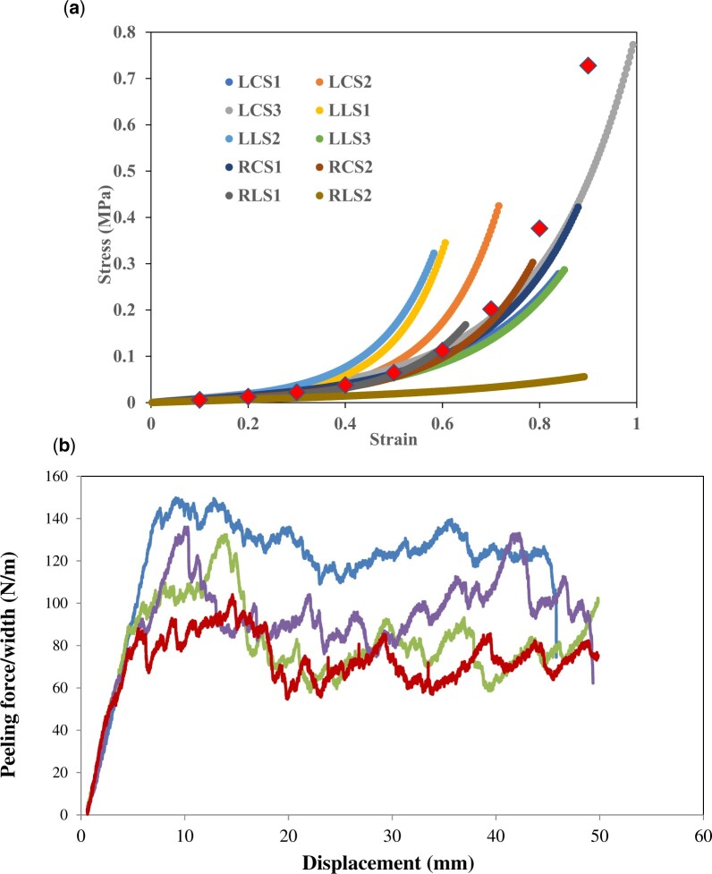 Figure 3: