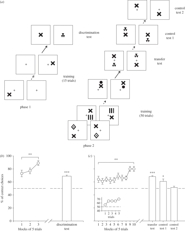 Figure 3.