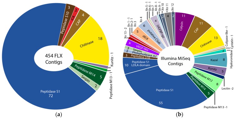 Venomics of Remipede Crustaceans Reveals Novel Peptide Diversity and ...