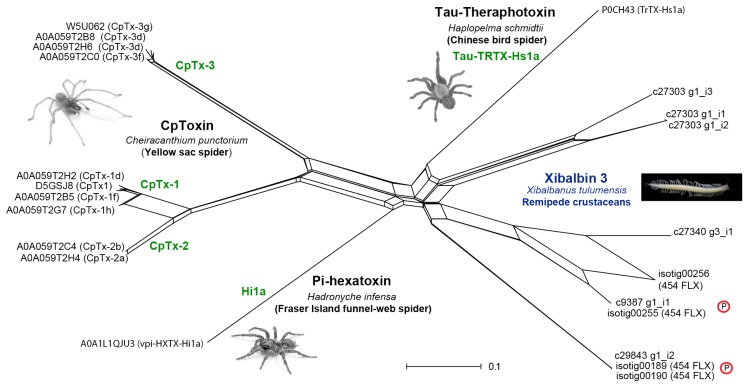 Figure 7