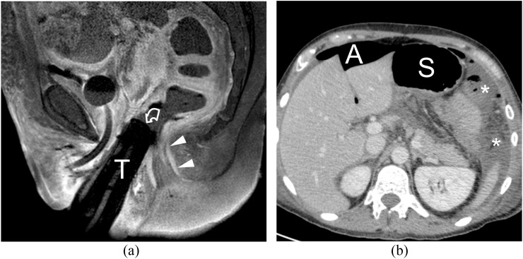 Figure 7.