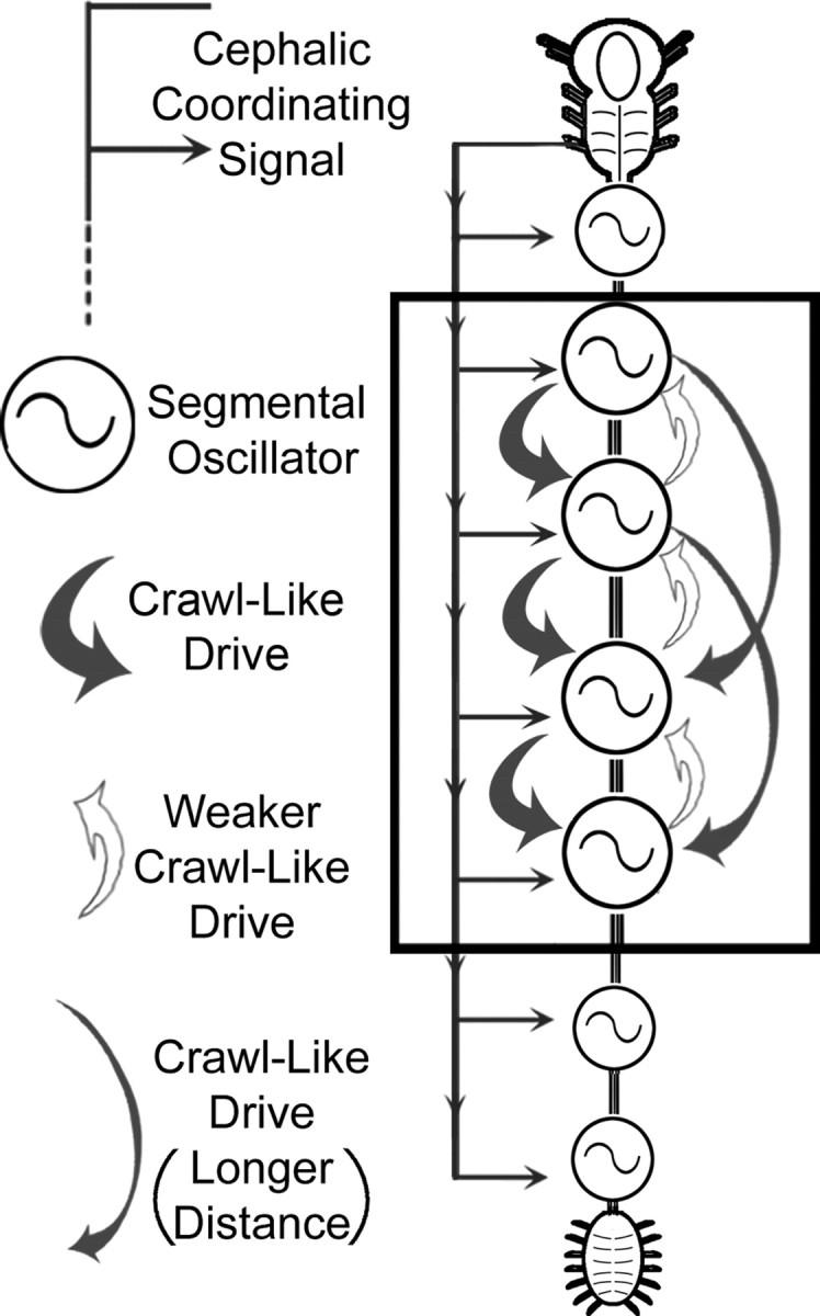 Figure 10.