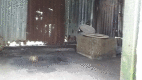Figure 2: A latrine with a raised seat and lid. The room has a concrete, even floor and is wide enough for a wheelchair user to turn freely. The walls are corregated iron.