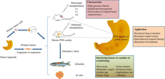 Graphical Abstract