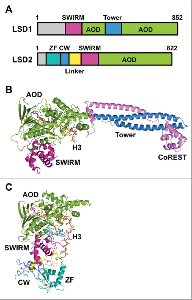 Figure 1.