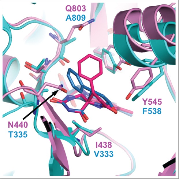 Figure 4.