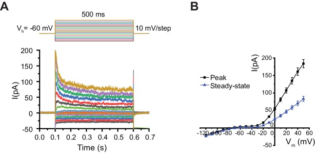 Figure 6—figure supplement 1.