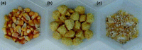 Fig. 2