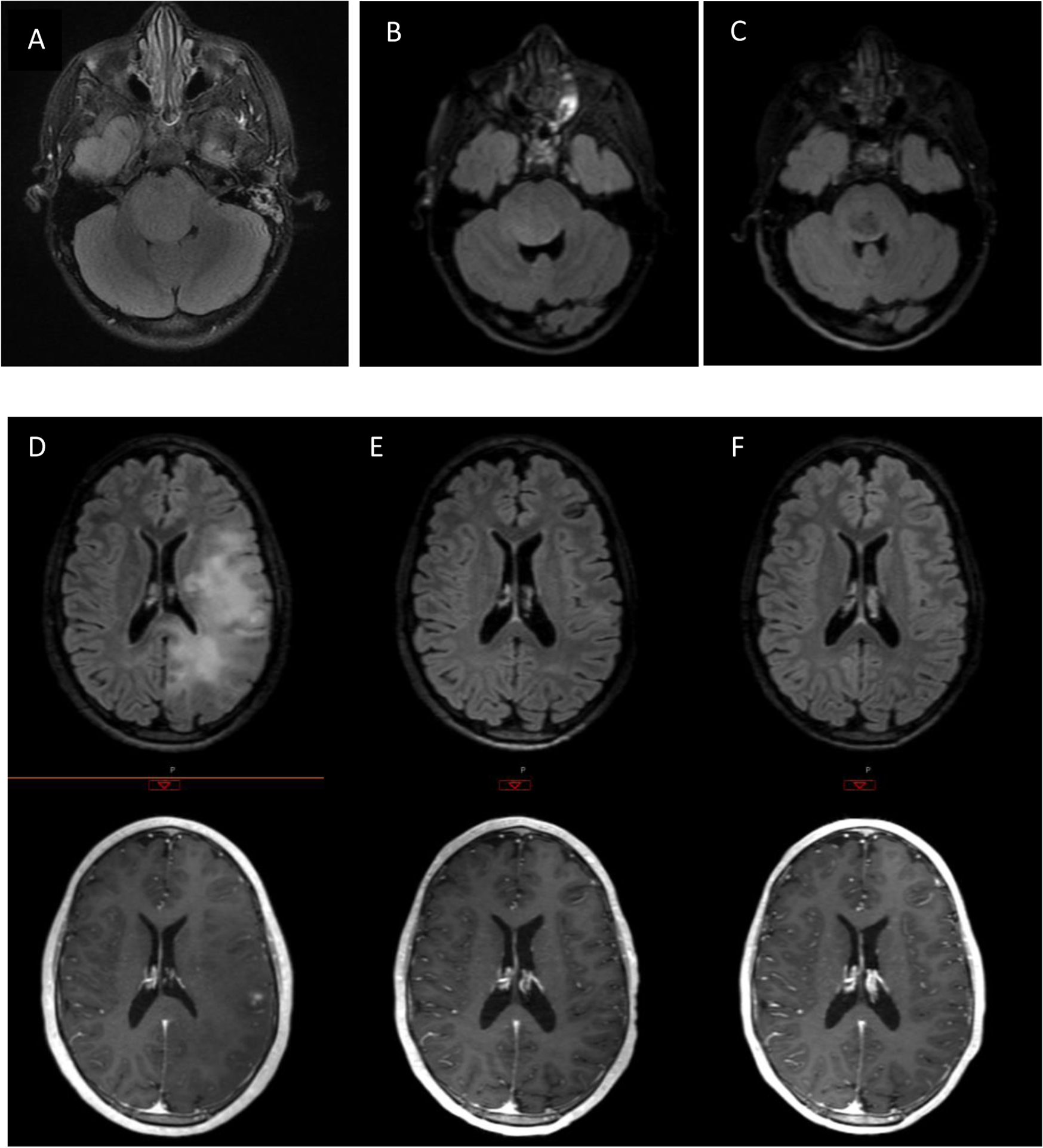 Figure 1: