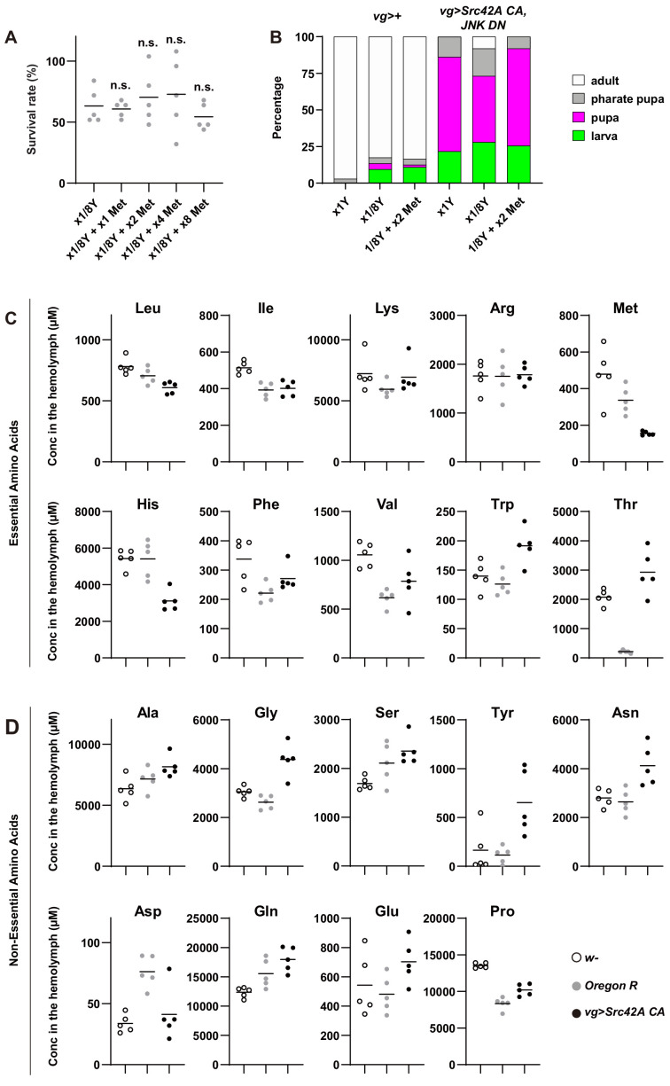 Figure 7—figure supplement 1.