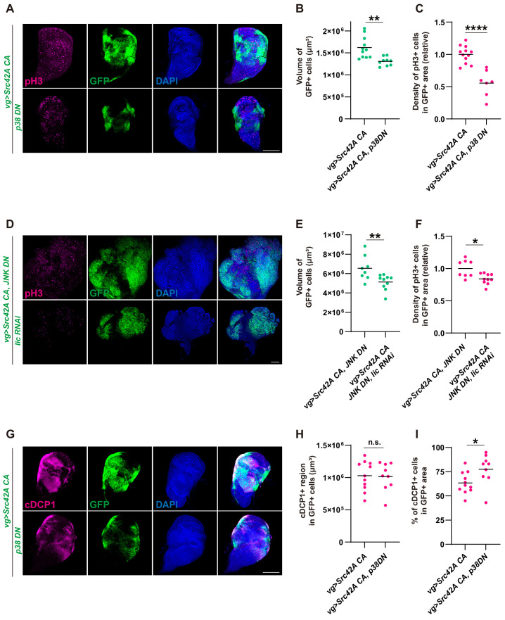 Figure 4—figure supplement 2.