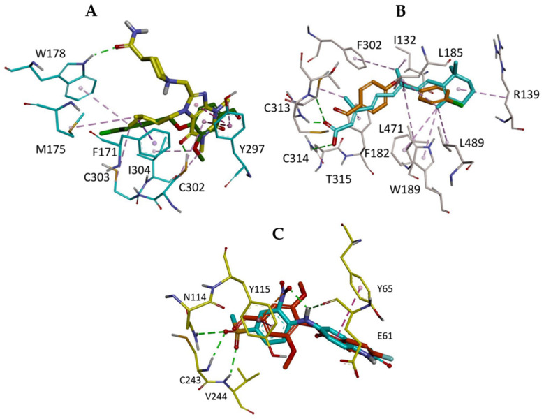 Figure 7