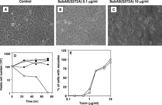 FIG. 4.