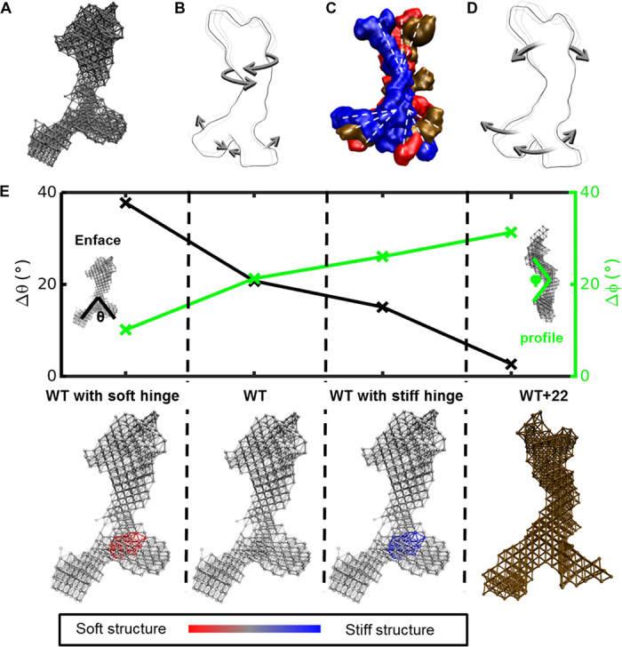 Fig. 3