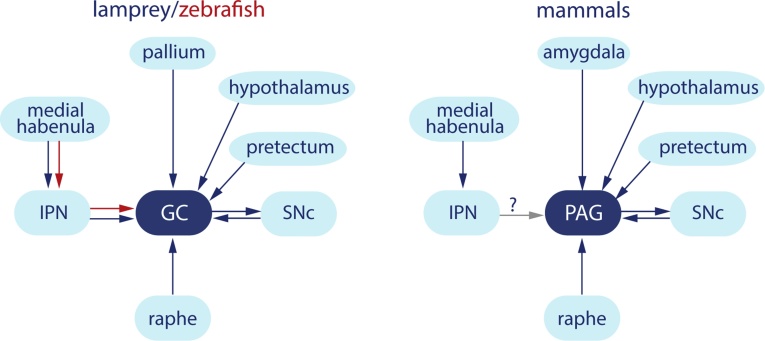 Fig. 4