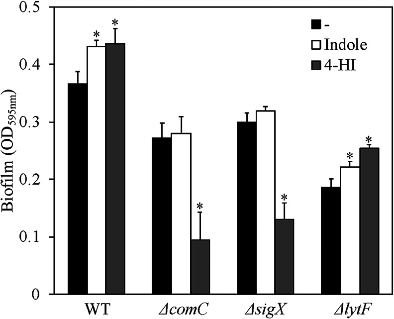 Fig. 3.