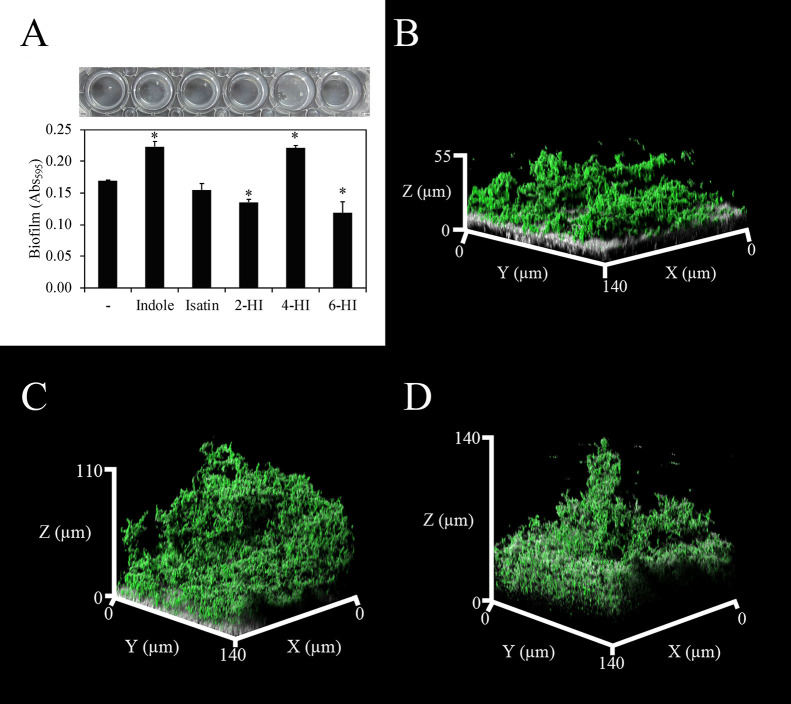 Fig. 1.