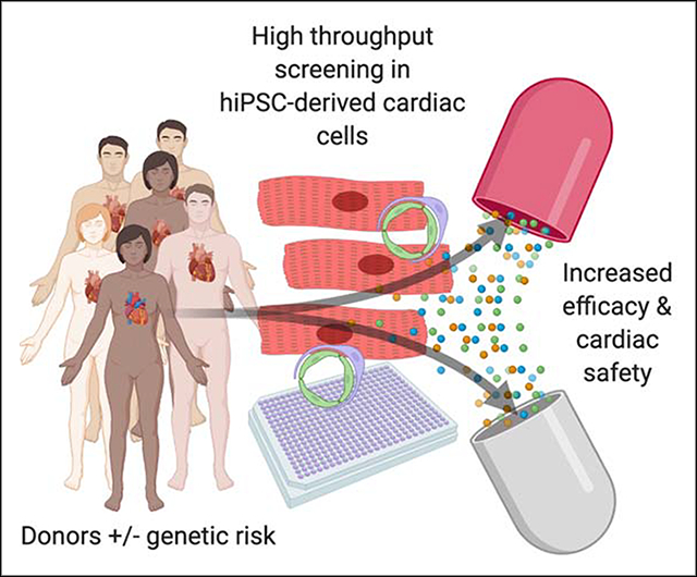 graphic file with name nihms-1683154-f0001.jpg