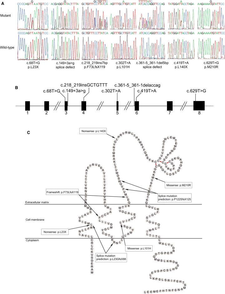 Figure 2