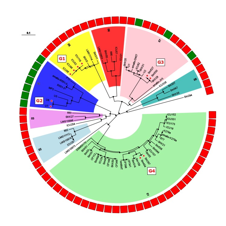 FIGURE 3