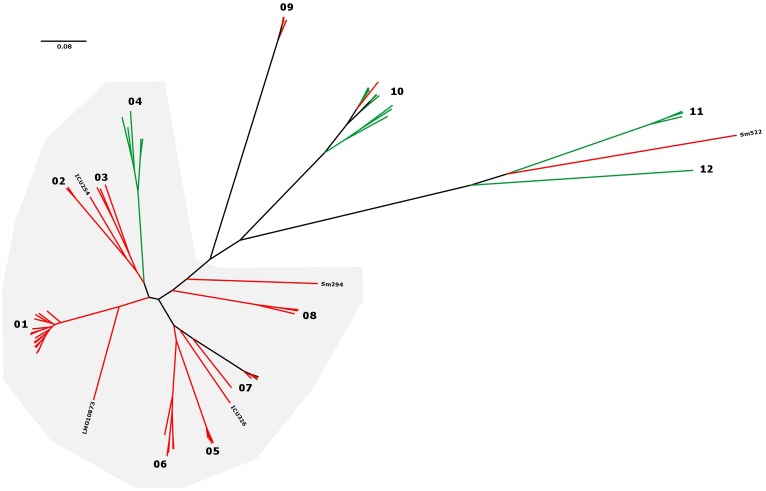 FIGURE 2