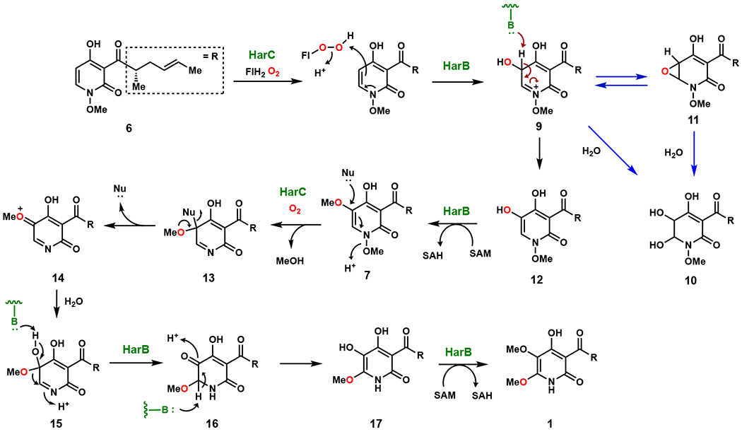 Figure 3.