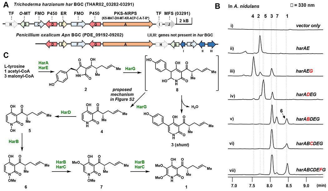 Figure 2.