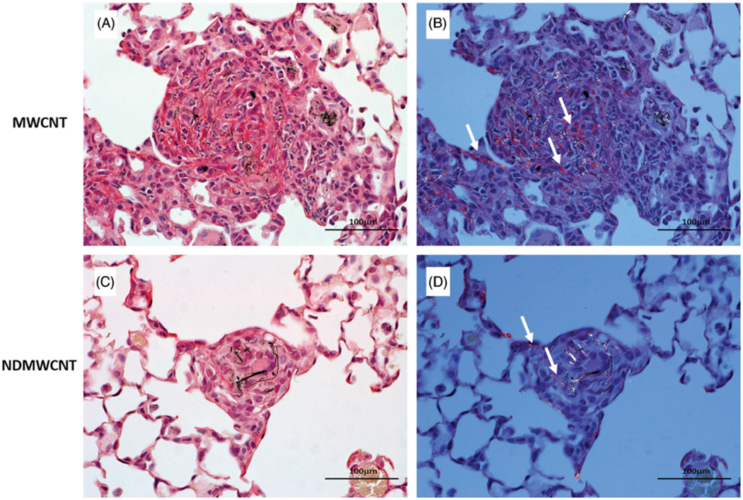 Figure 13.