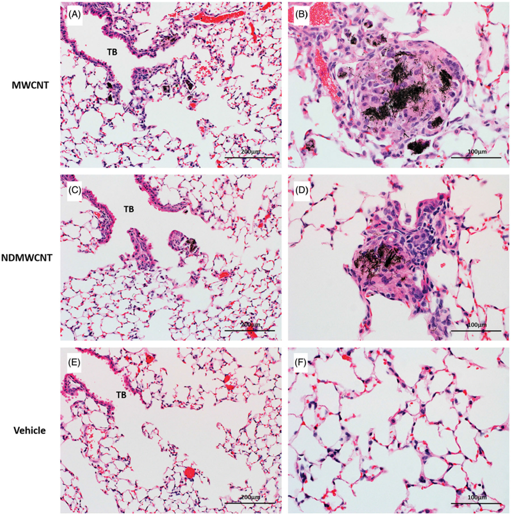 Figure 12.