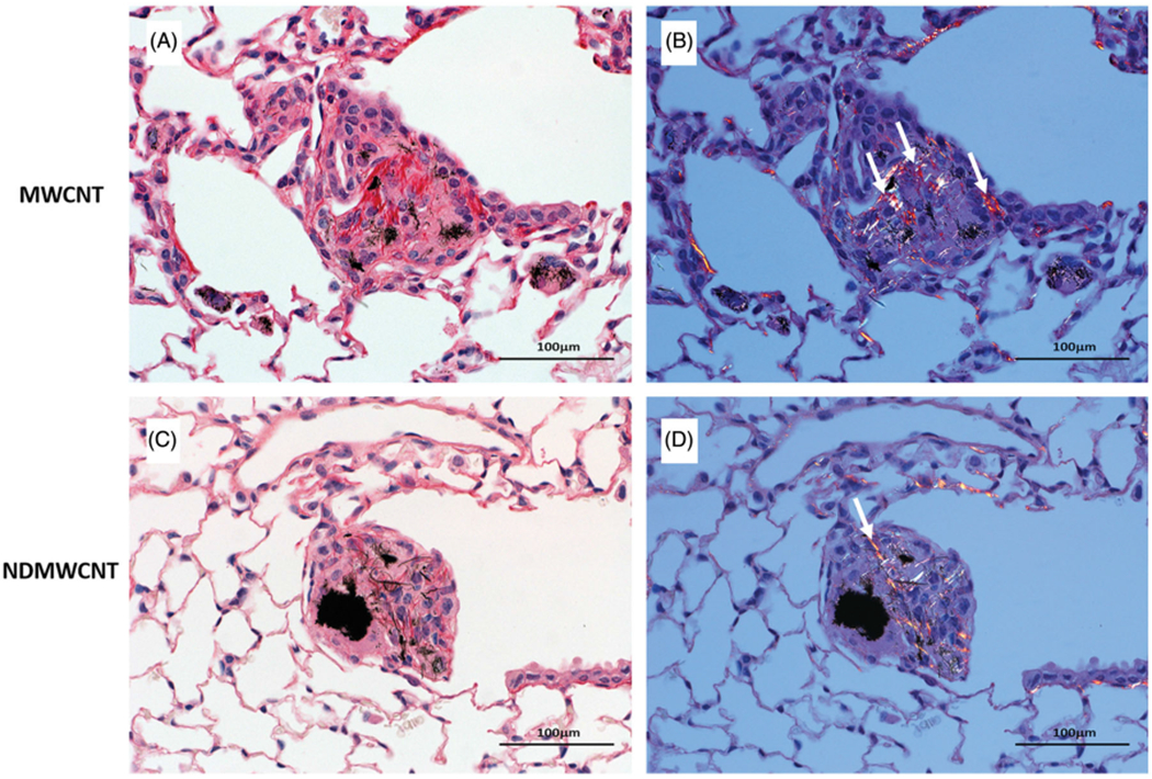 Figure 14.