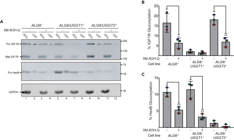 Figure 6