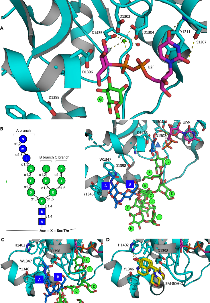 Figure 2