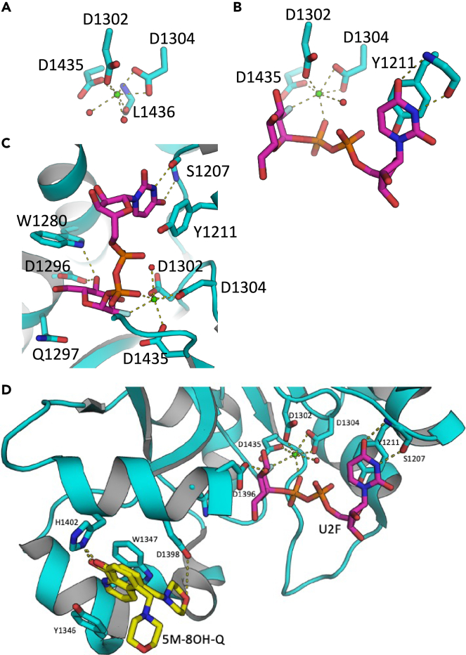 Figure 1