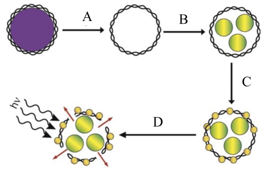 Figure 9