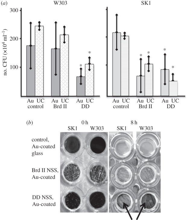 Figure 4.