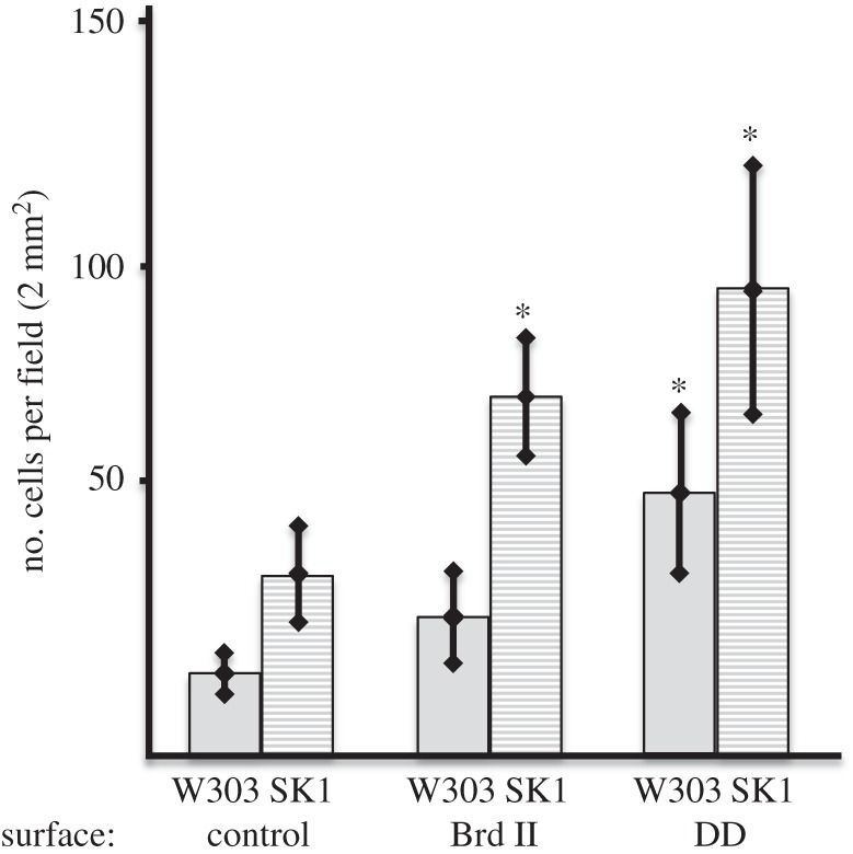 Figure 3.