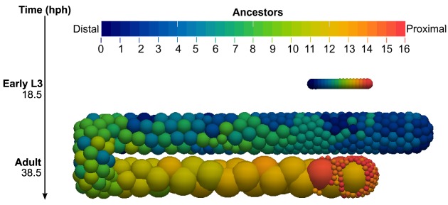 Fig. 8.