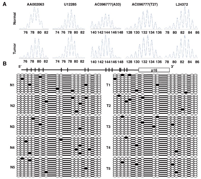 Figure 3—figure supplement 1.