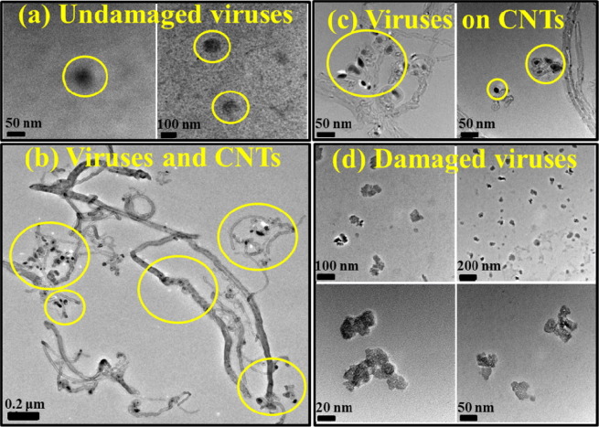 Fig. 10