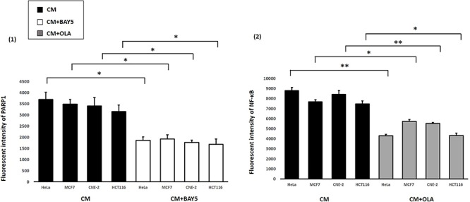 Fig. 13.