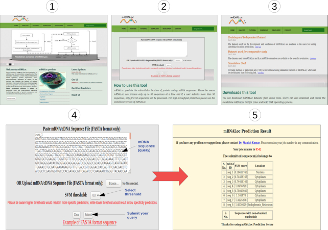 Figure 2.