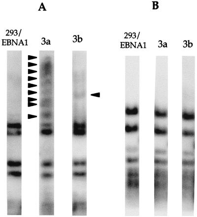 FIG. 6