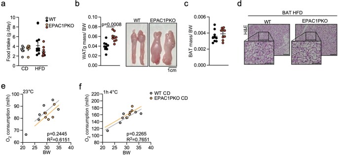 Extended Data Fig. 7