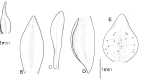 Figure 17.