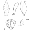 Figure 13.