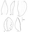 Figure 7.